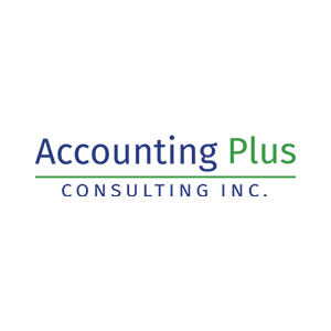 Accounting Plus Consulting